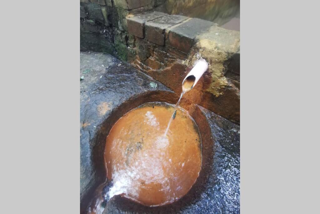 Gite Le Balcon Flaubert Forges-les-Eaux Exteriör bild